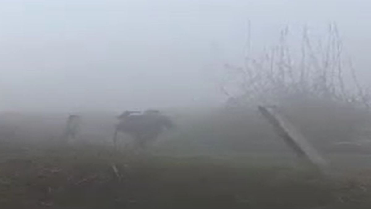 sonipat accident due to dense fog truck hits tractor trolley four injured