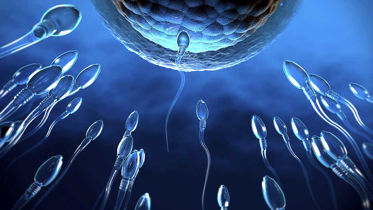 Women Semen Allergy