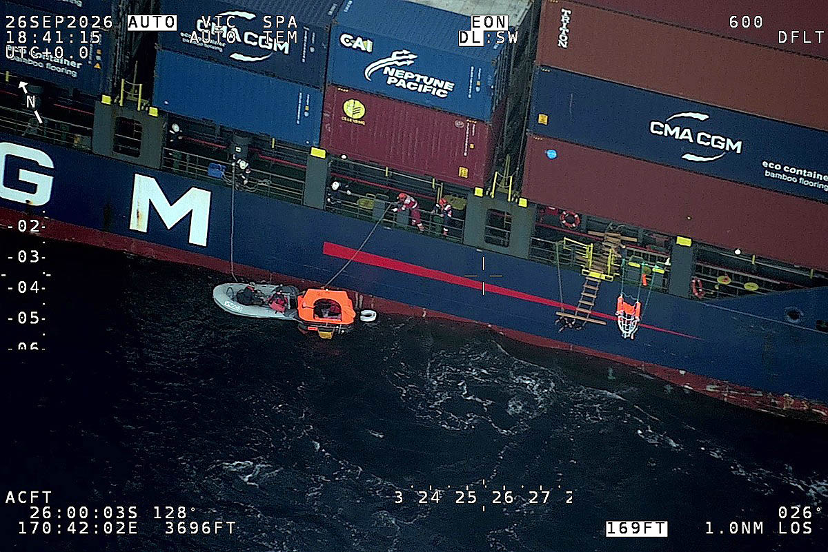 Sperm Whale, Yacht Collision