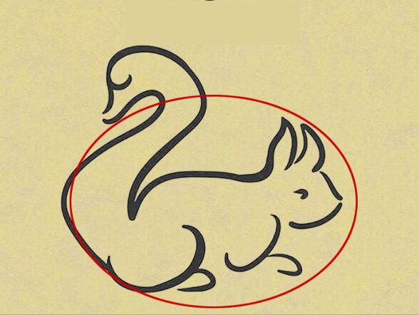 तस्वीर में पहले नजर आई गिलहरी तस्वीर में पहले नजर आई गिलहरी