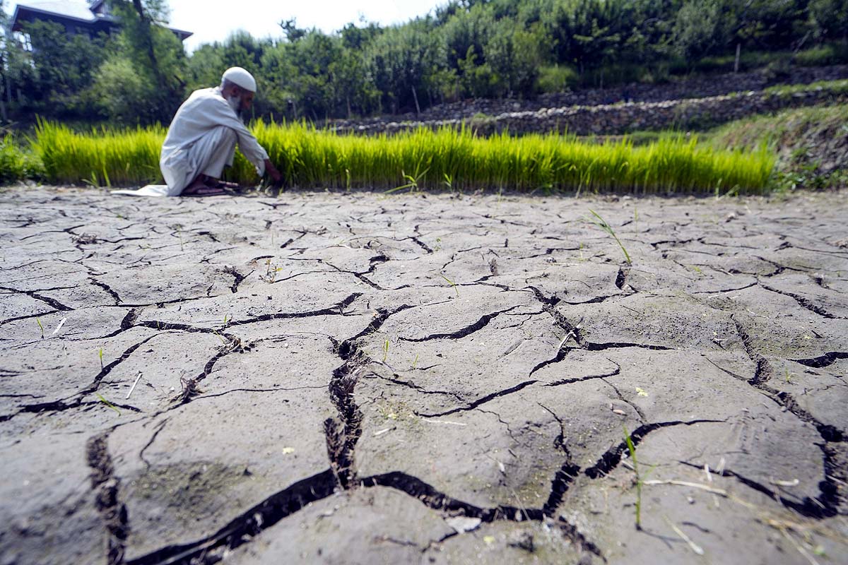 Drought crisis in Maharashtra-Andhra Pradesh Drought crisis in Maharashtra-Andhra Pradesh