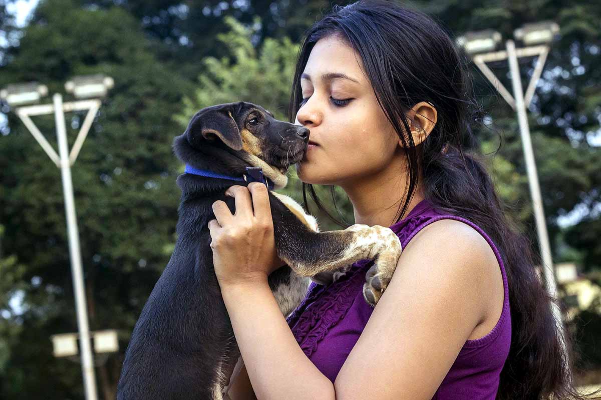 vacuum effect of removing dogs