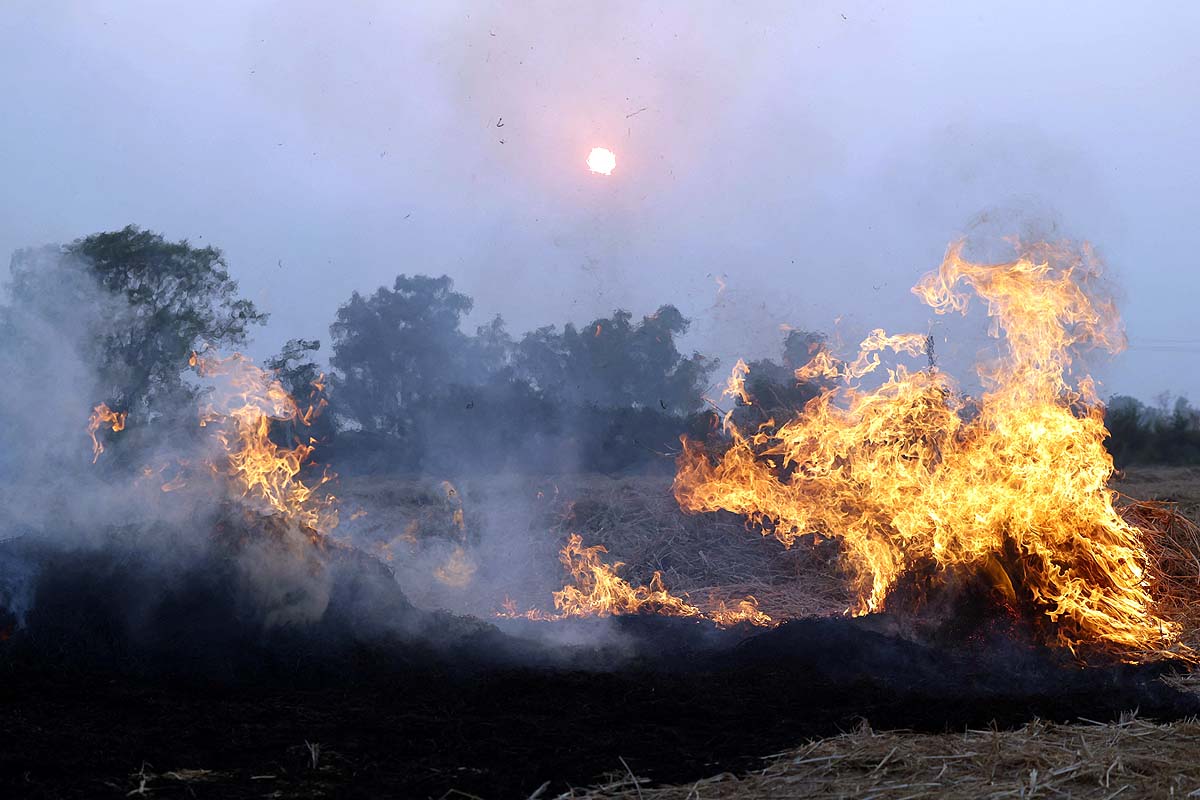 Parali Burning