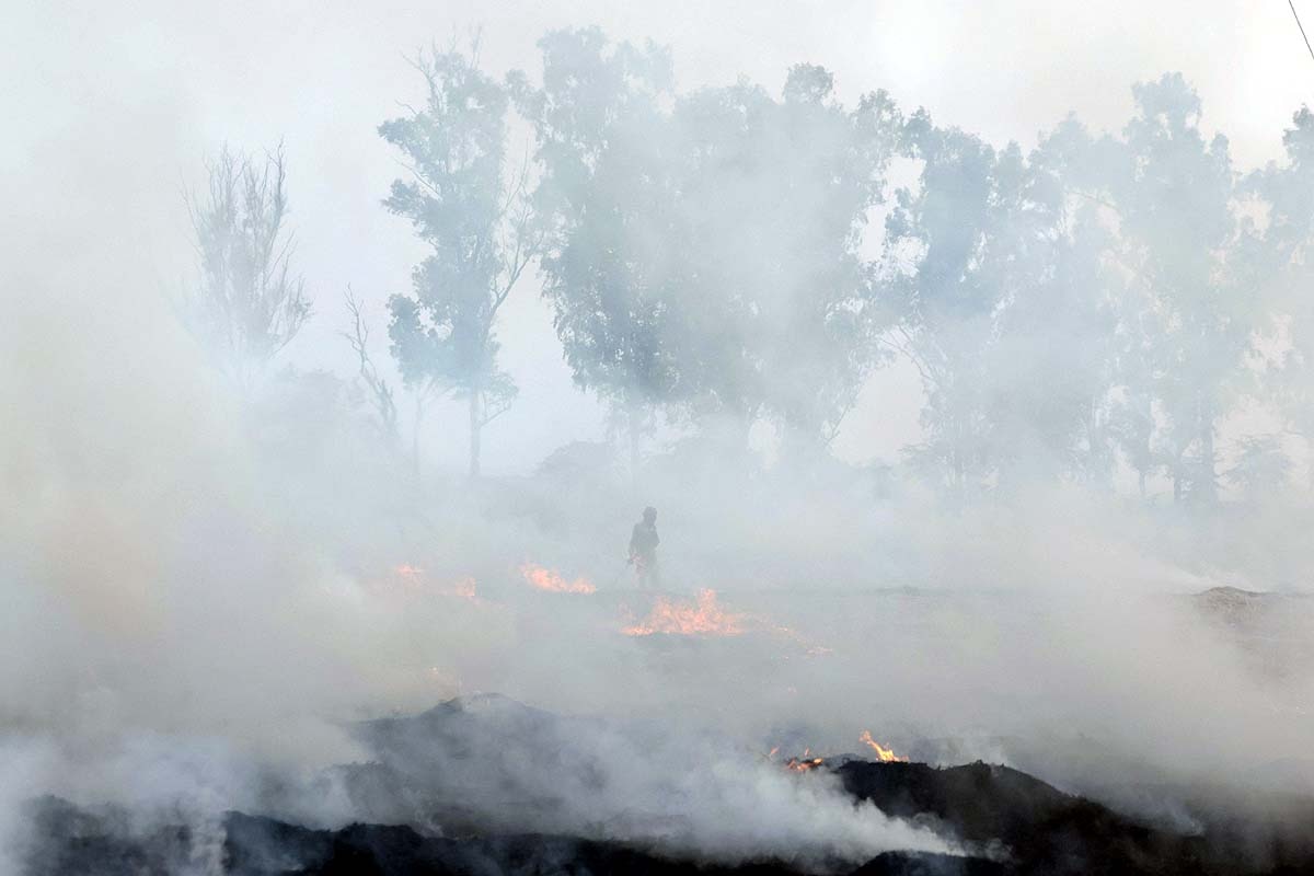 Parali Burning