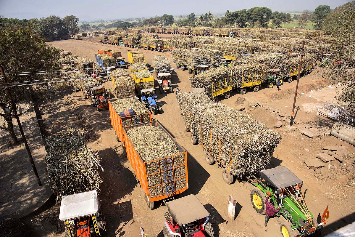 India Sugar Production India Sugar Production