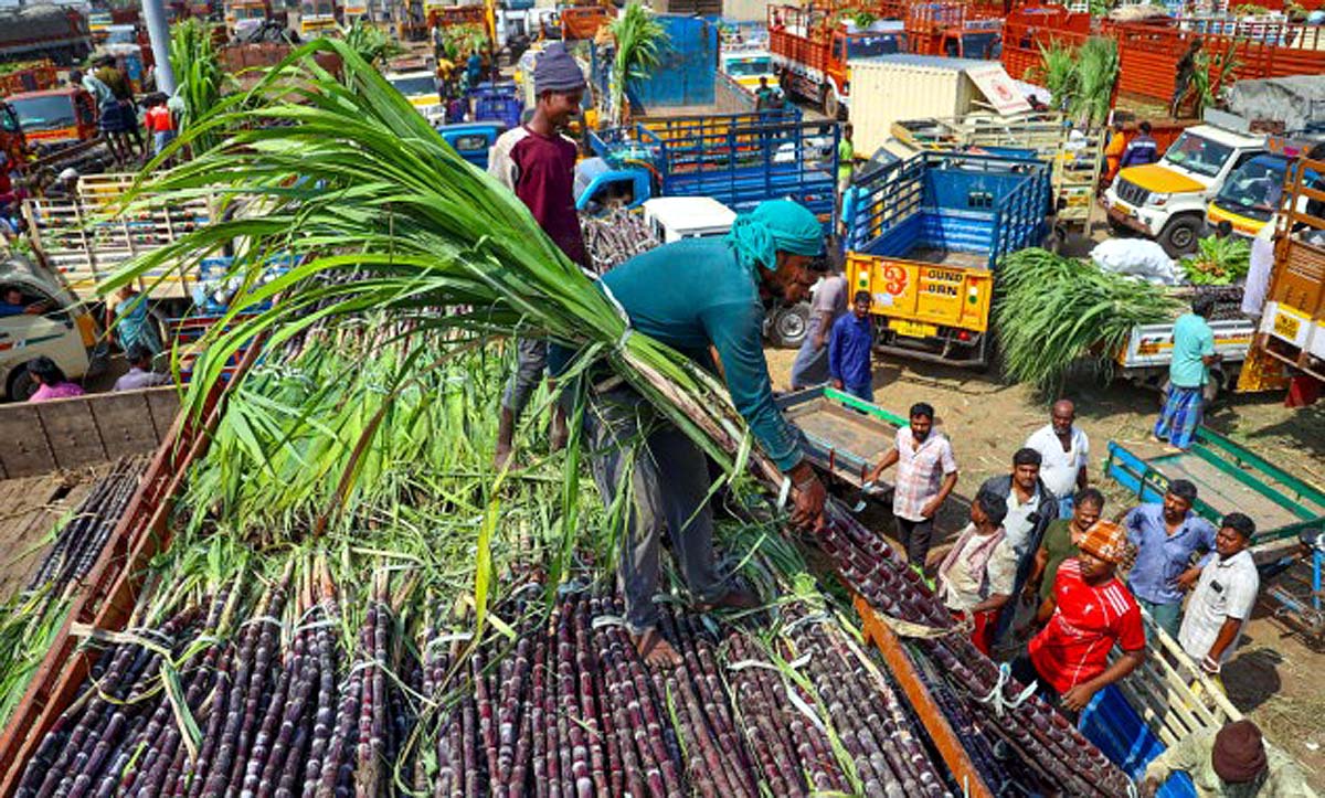 India Sugar Export El-nino India Sugar Export El-nino