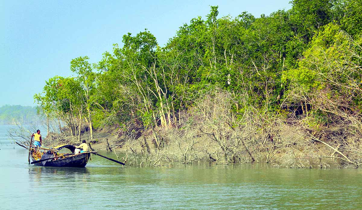 Sundarban Islands Vanishes