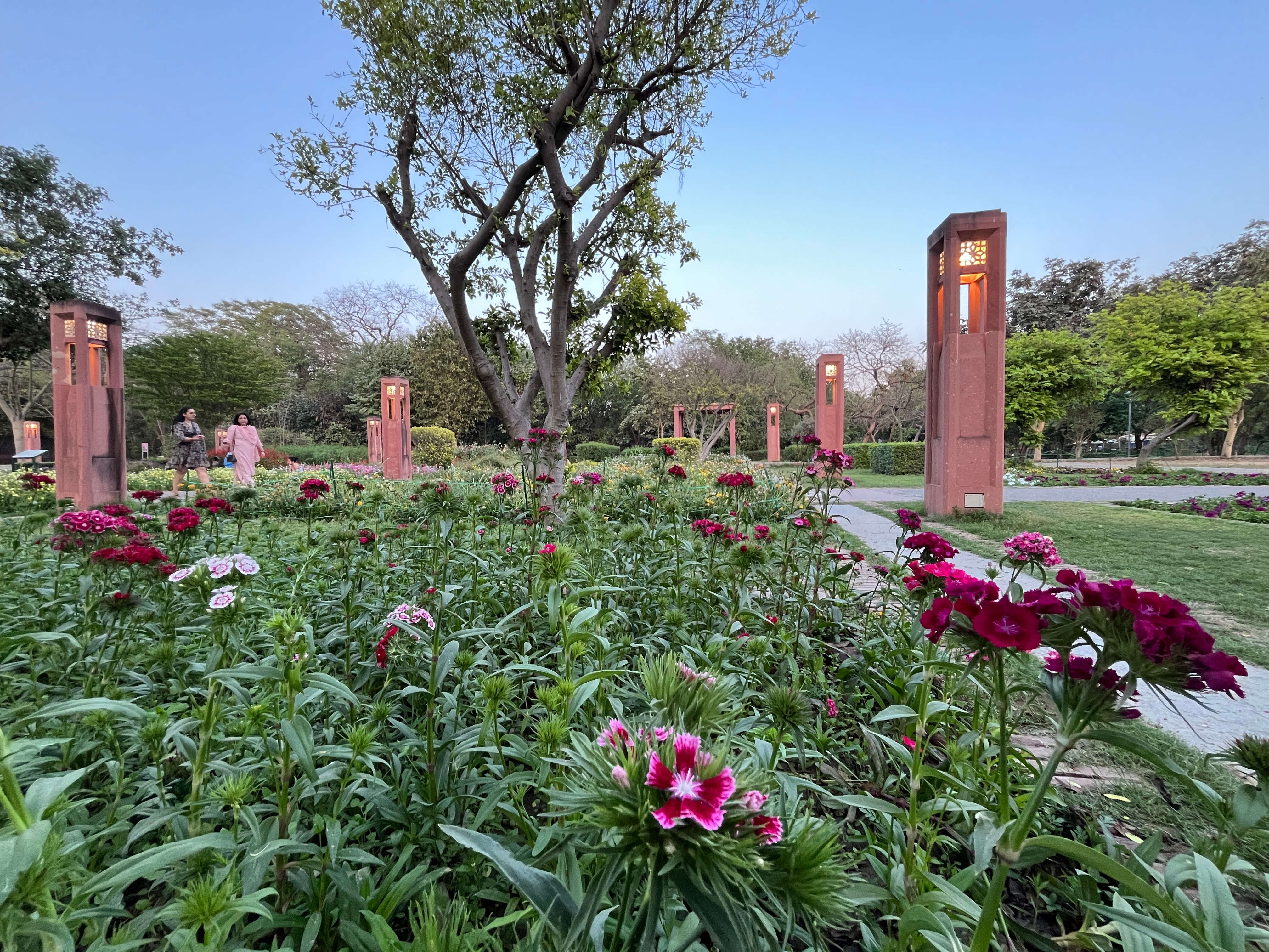 क्लाइमेट चेंज से 'घायल दिल्ली' में सुंदर नर्सरी की एक शाम... हरियाली, ख़ूबसूरती और सुकून  URL: https://www.aajtak.in/india/delhi/story/delhi-pollution-climate-change-evening-sunder-nursery-greenery-beauty-peace-mdsb-ntc-rptc-2492341-2026-03-11