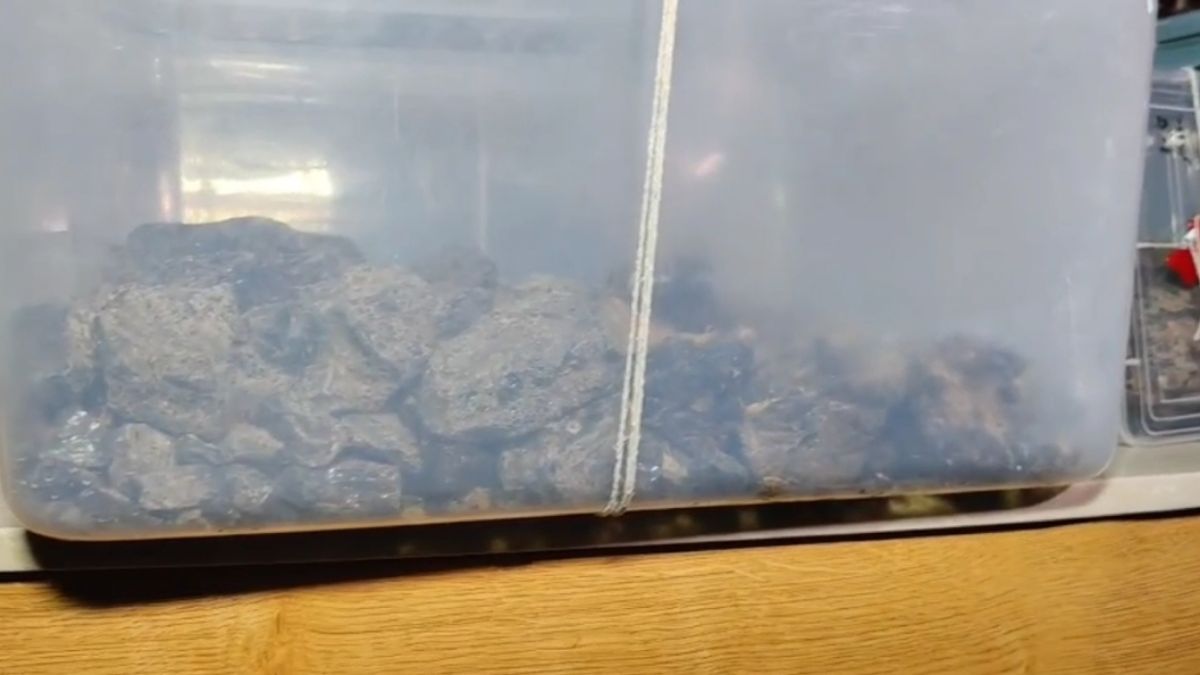 surat farmer floating gold worth over five crore ambergris arrest