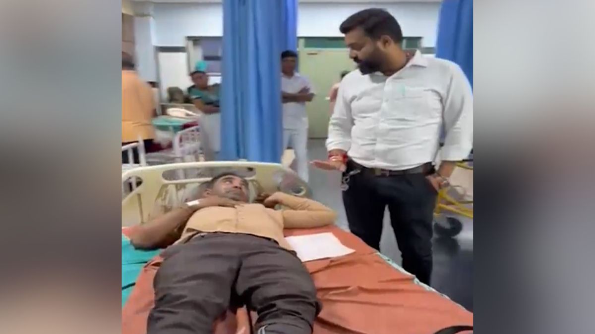 surat snake bite senior citizen carries dead snake in bag hospital