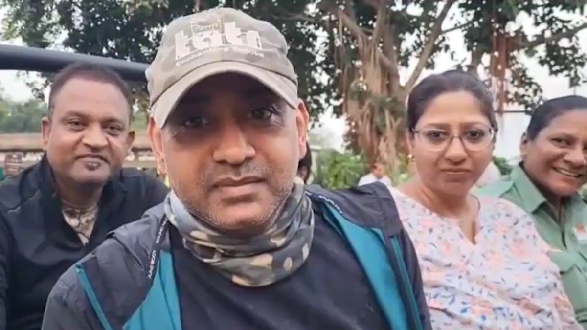 tadoba tiger reserve reopens three months tigress first safari tadoba tiger reserve reopens three months tigress first safari