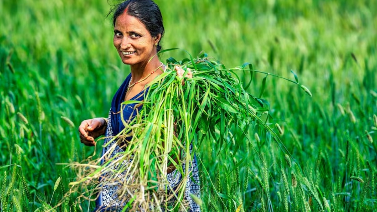 Capturing the Soul of Indian Villages