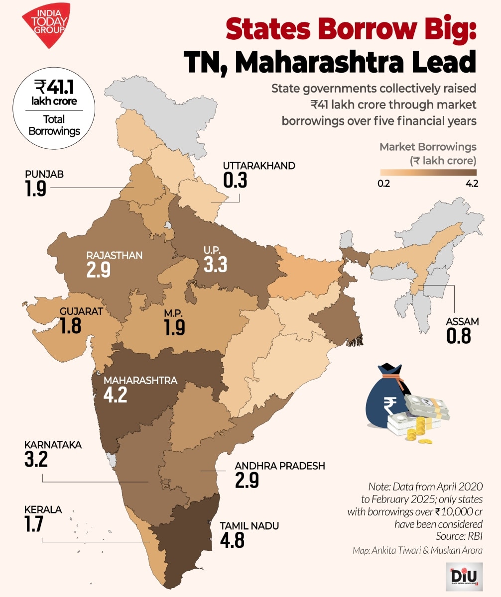 Top Borrower Top Borrower