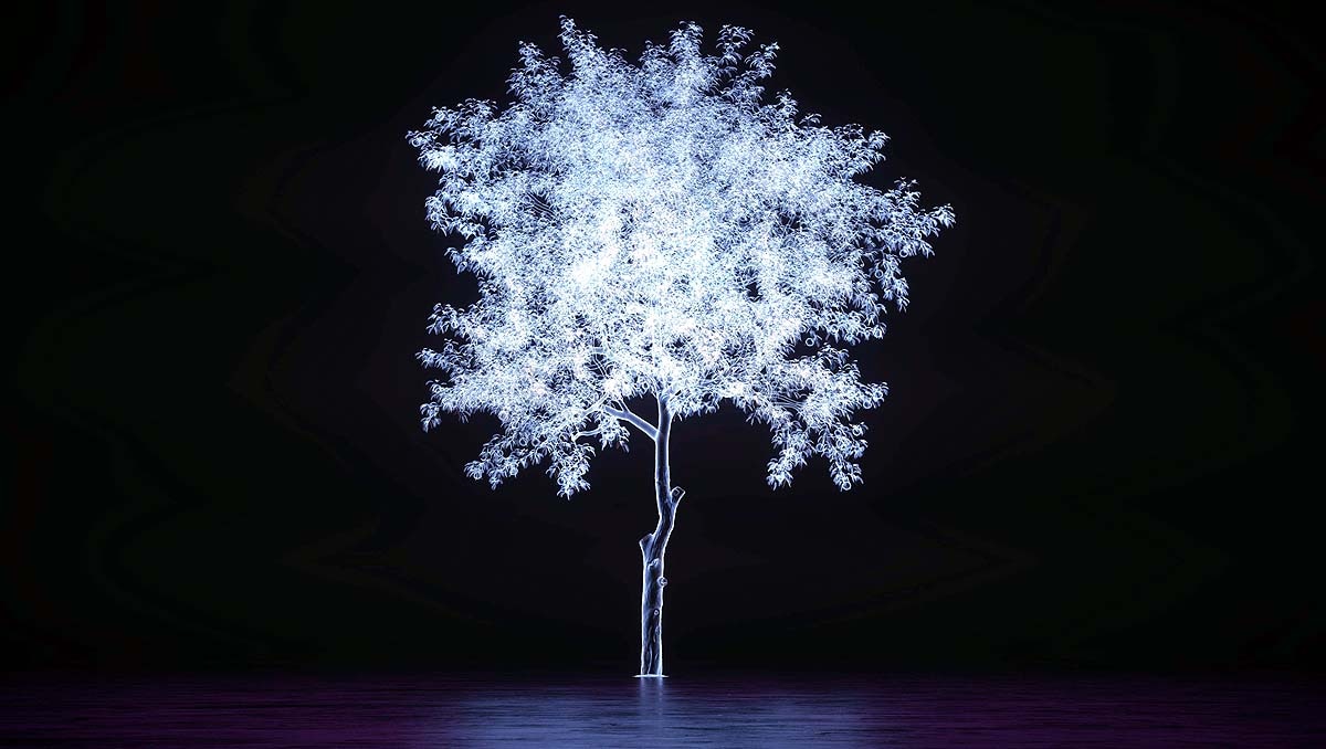 Spirit or Biophotons