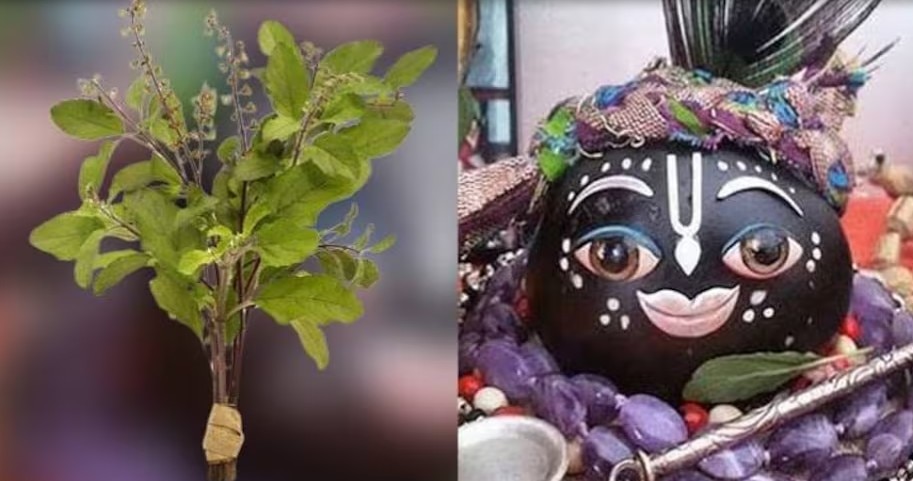 Tulsi Shaligram