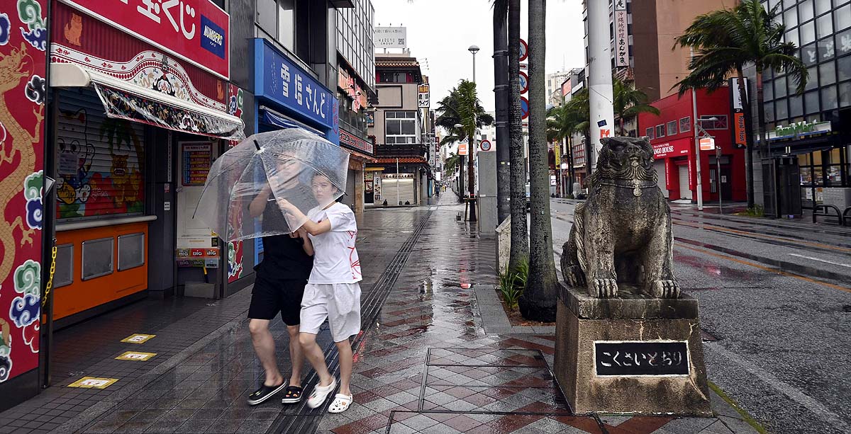Typhoon Dolphin Japan Typhoon Dolphin Japan