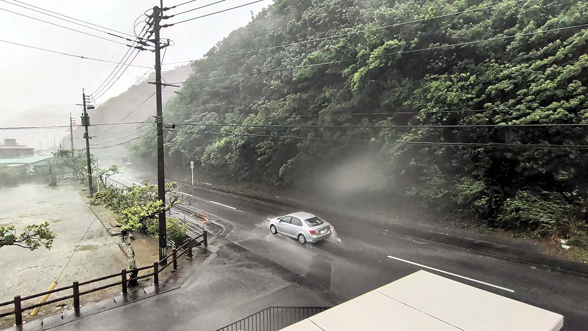 Typhoon Dolphin Japan Typhoon Dolphin Japan