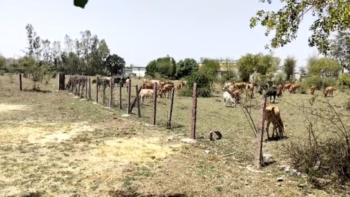 फार्म हाउस में स्पेशल रूम, महंगी शराब और सिगरेट... इंजीनियर का लाइफस्टाइल कर देगा हैरान फार्म हाउस में स्पेशल रूम, महंगी शराब और सिगरेट... इंजीनियर का लाइफस्टाइल कर देगा हैरान