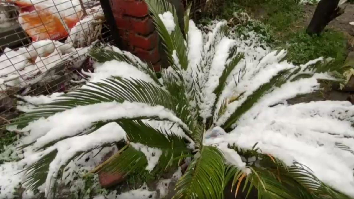 मनाली में बर्फबारी. 