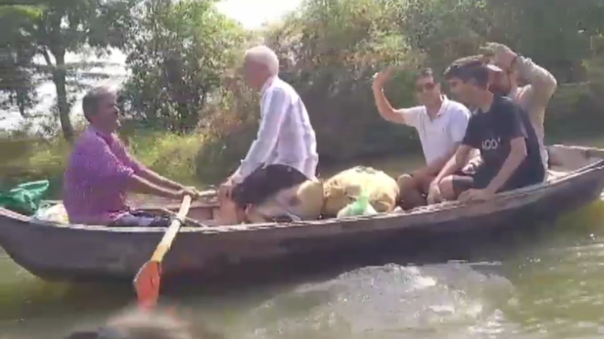 पानी के बीच 48 दिन से फंसे सैकड़ों बंदर, ग्रामीण हर रोज पहुंचा रहे 100 किलो खाद्य सामग्री