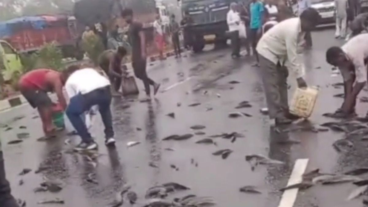 मछलियों से लदा वाहन सड़क पर पलटा, राहगीरों में मची बिखरी मछलियों को लूटने की होड़