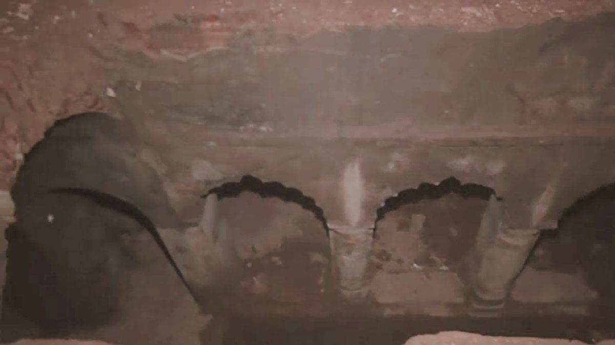 खतरे के संकेत देख ASI ने बंद करा दी थी बावड़ी की खुदाई! अब राजा चंद्र विजय ने सरकार से की ये मांग