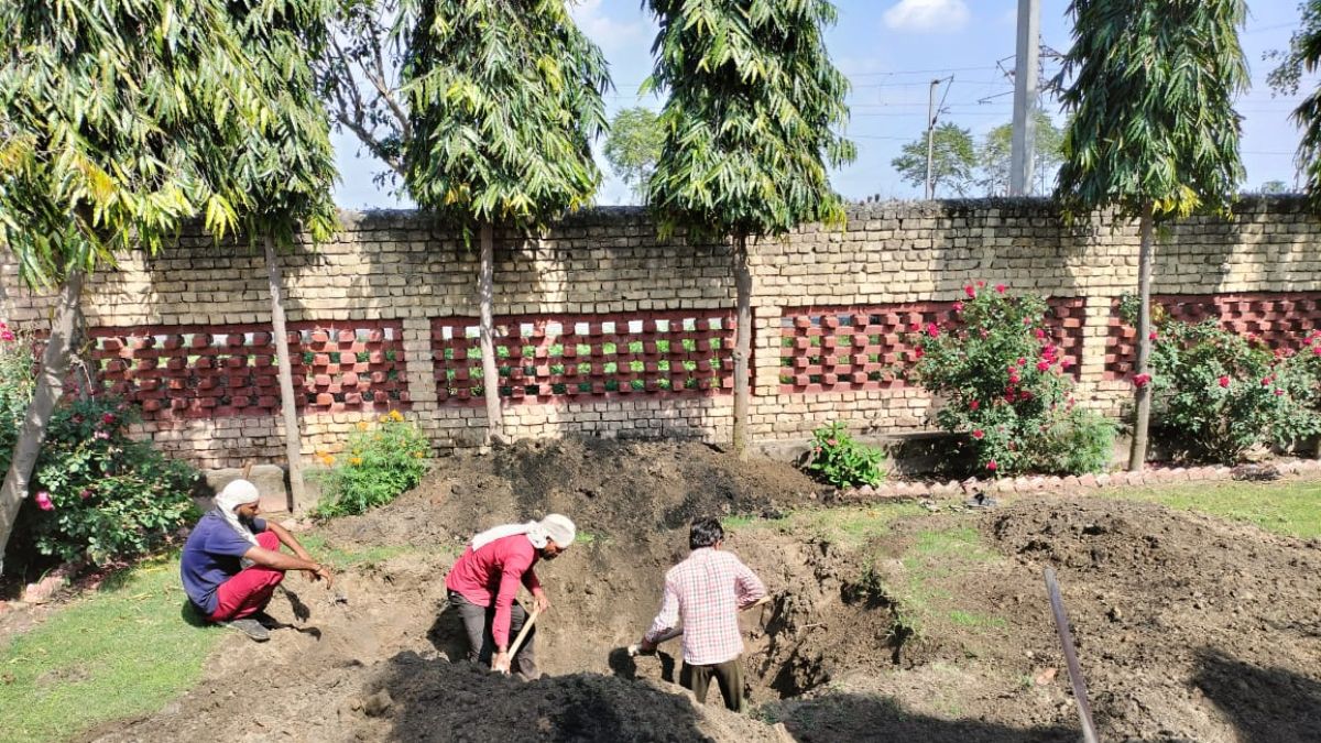 पहले बंधवाई राखी, फिर की शादी... कनाडा से बुलाकर शादीशुदा प्रेमी ने रची खौफनाक साजिश पहले बंधवाई राखी, फिर की शादी... कनाडा से बुलाकर शादीशुदा प्रेमी ने रची खौफनाक साजिश