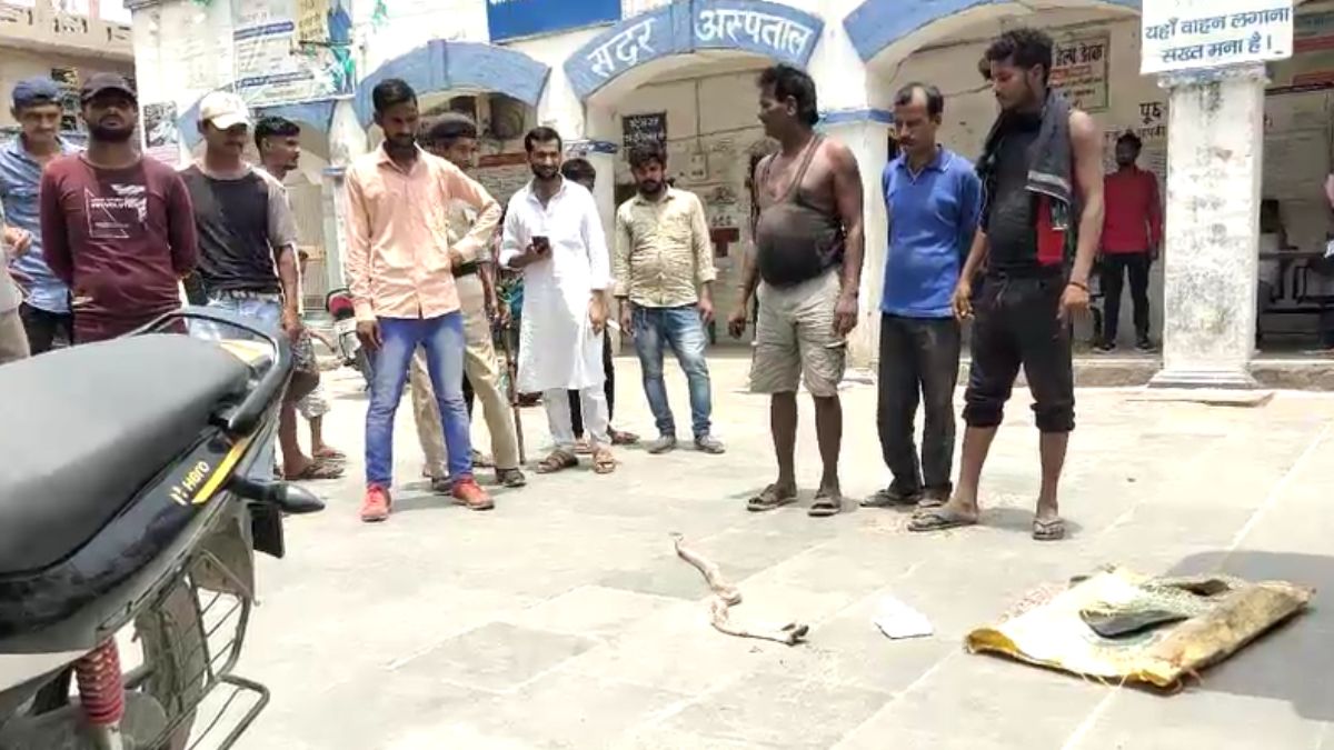 बिहारः युवक का शव और 10 फीट लंबे सांप को लेकर अस्पताल पहुंचे JDU के पूर्व MLA,बोले... बिहारः युवक का शव और 10 फीट लंबे सांप को लेकर अस्पताल पहुंचे JDU के पूर्व MLA,बोले...