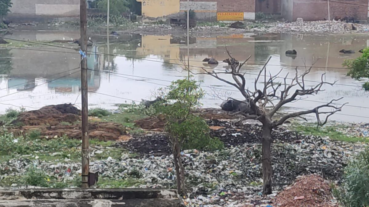 'नरक पुरी, बदबू विहार, घिनौना नगर...', आगरा के लोगों ने बदले कॉलोनियों के नाम