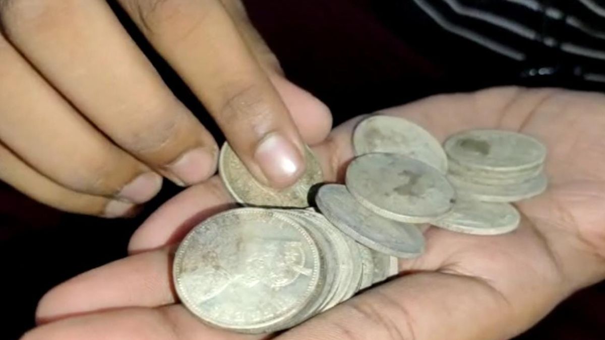जमीन से निकले ब्रिटिश काल के 282 सिक्के. (Photo: Aajtak)