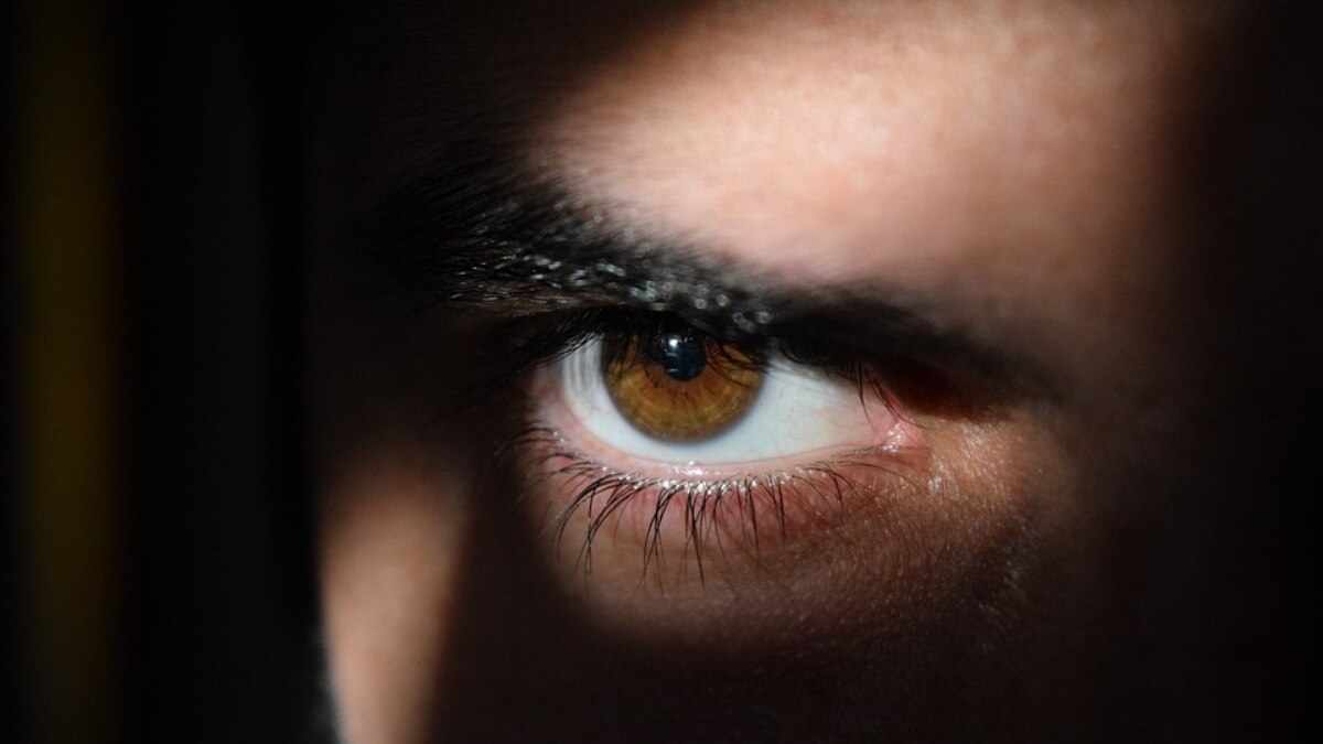 अमेरिका