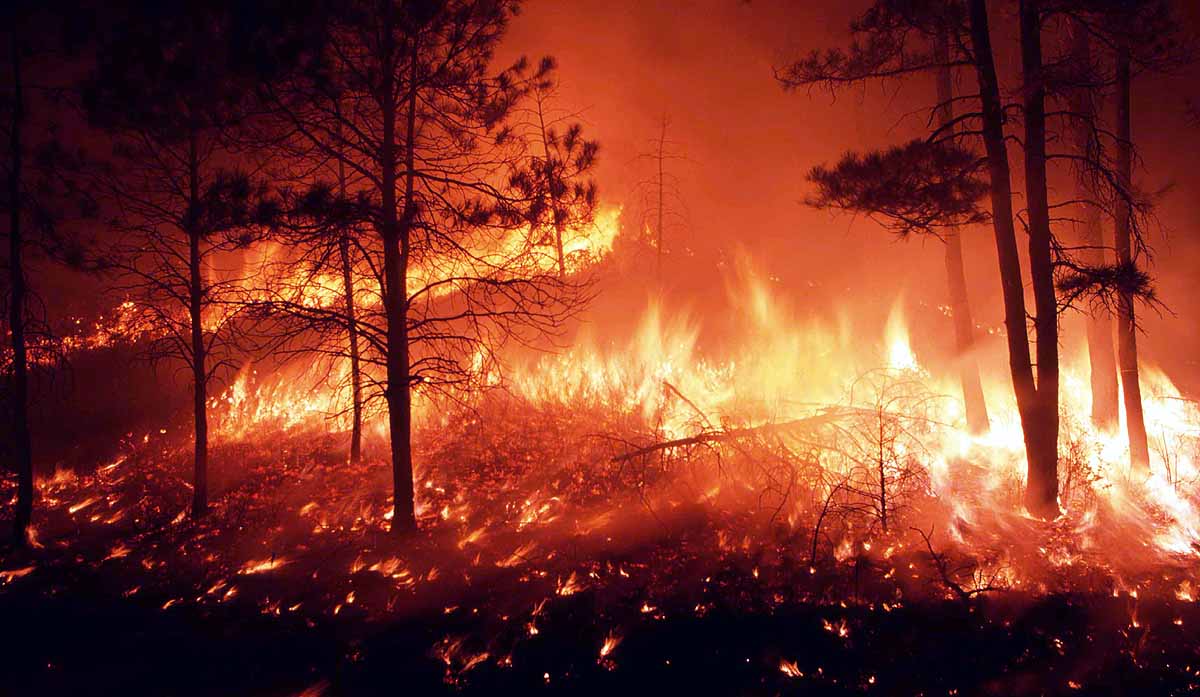  James Hansen Hottest Year 2026