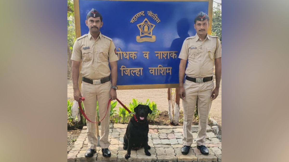 Washim Emotional Farewell Police Dog Stefi Honored Funeral Bomb Disposal Service Washim Emotional Farewell Police Dog Stefi Honored Funeral Bomb Disposal Service
