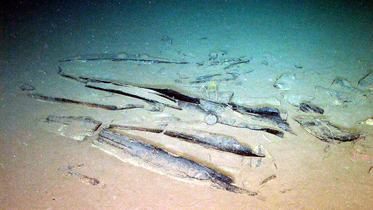 Whale Graveyard Whale Graveyard