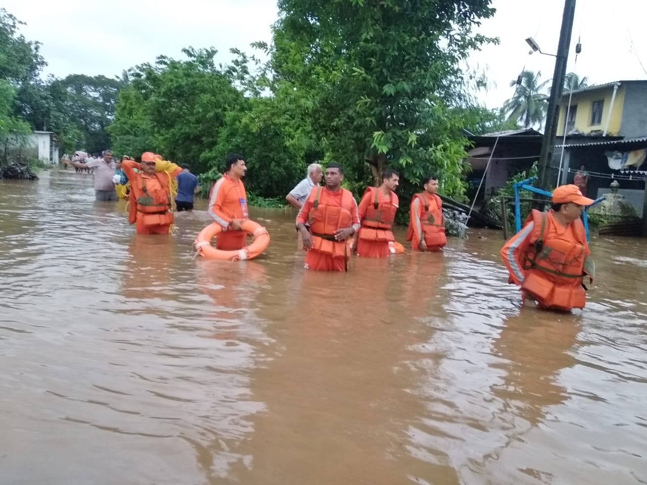 फाइल फोटो