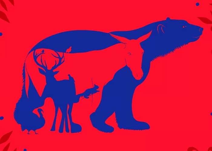 Optical Illusion (Image credit: The mind journal)