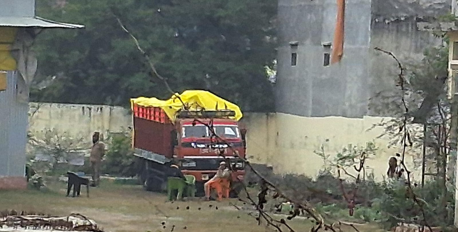 अमेरिका