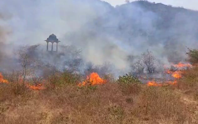 6-7 हेक्टेयर तक फैली आग.