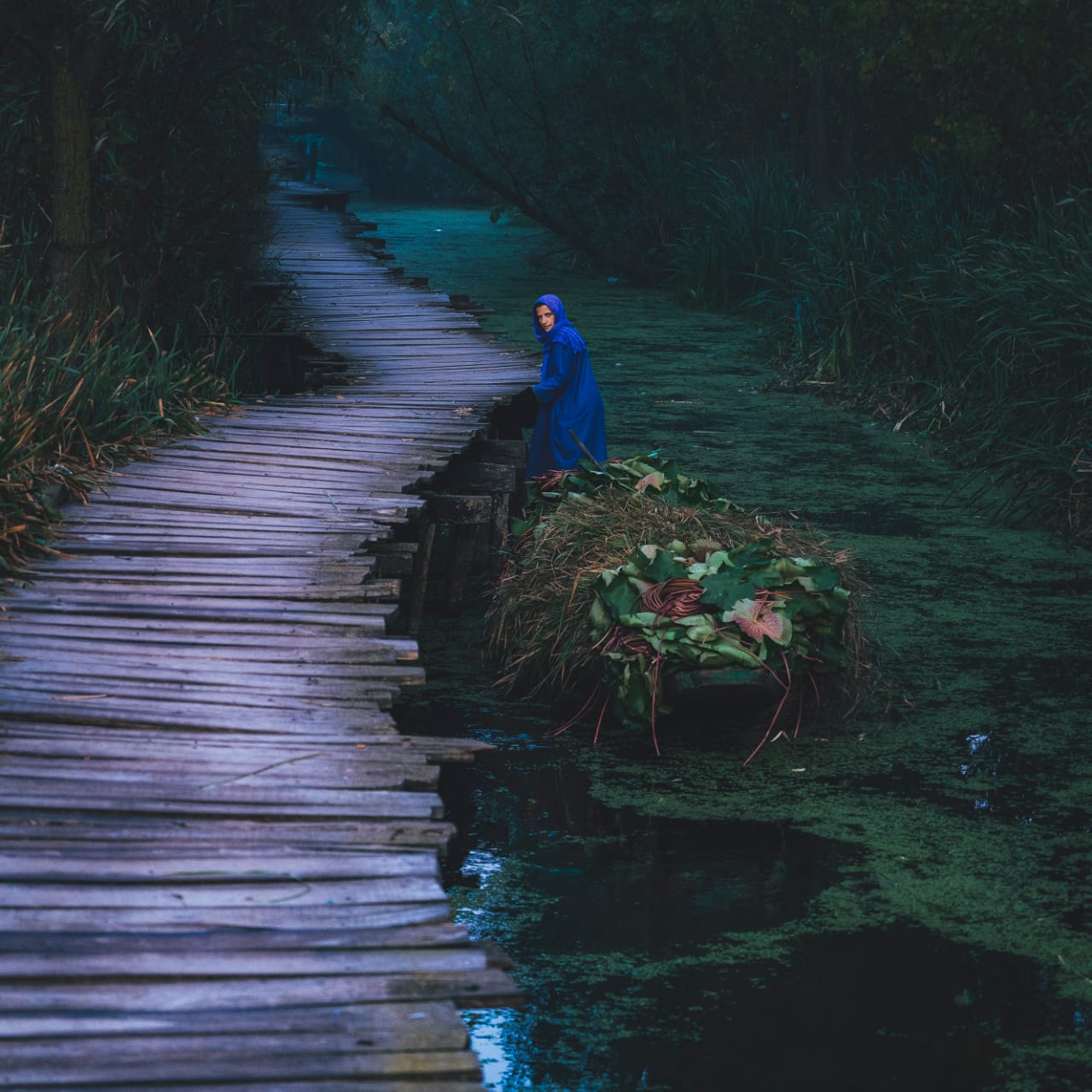 डल झील का खूबसूरत नजारा