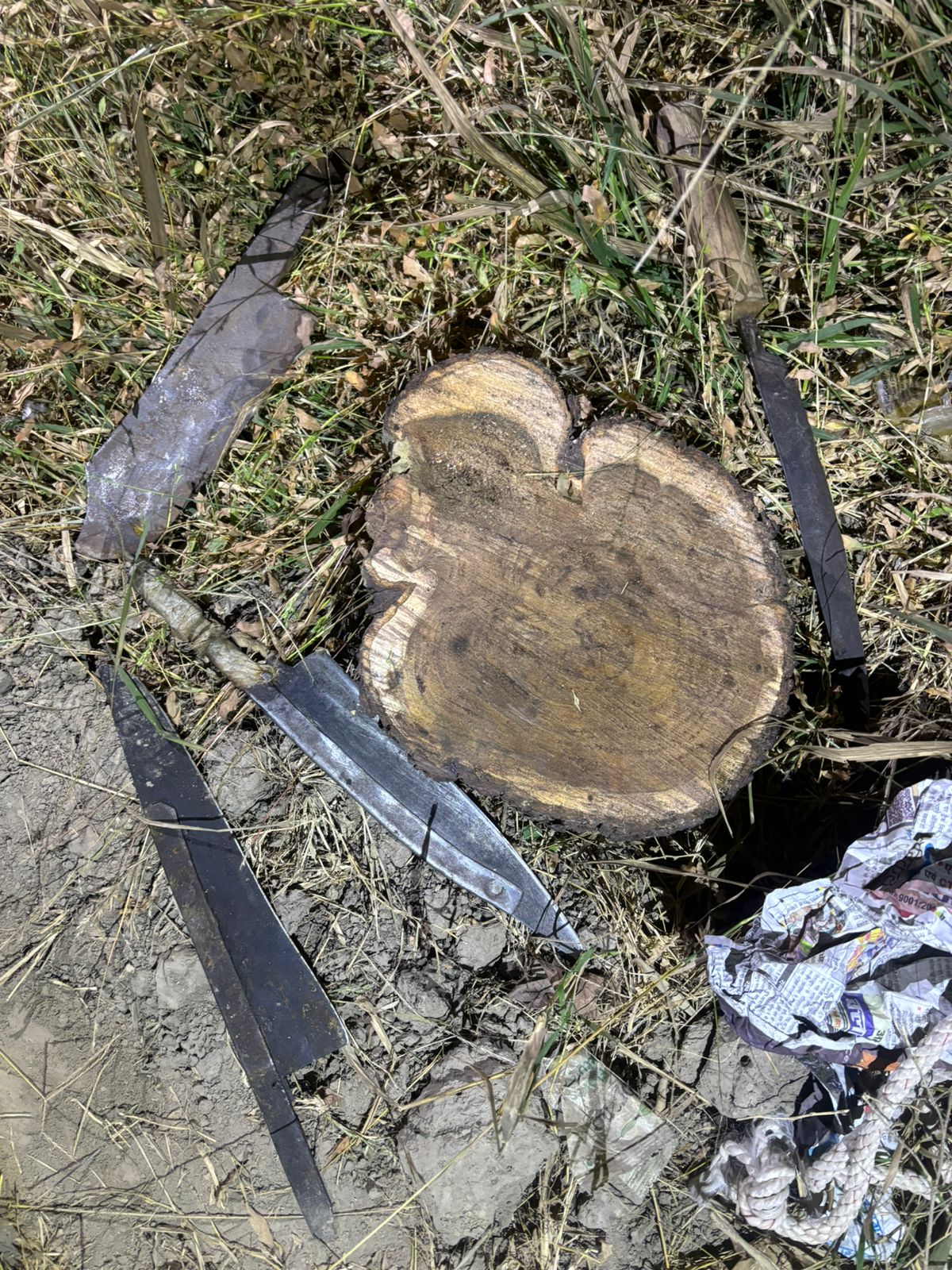 कौशांबी