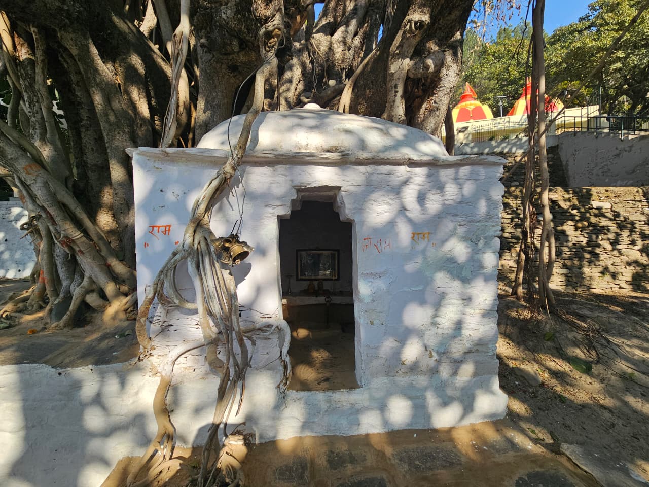 नैनीताल
