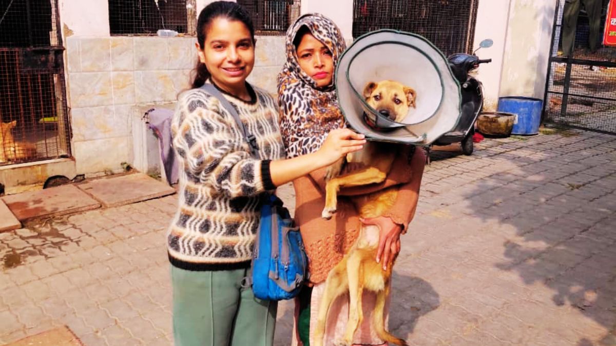 'मैं नहीं जी पाऊंगी...' कौन है मोंटी, जिसके लिए कलेक्टर के सामने रो पड़ी कानपुर की फराह