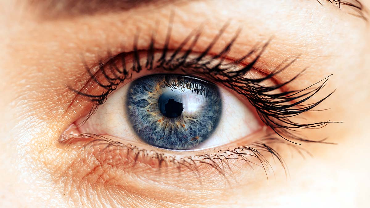 superhuman color vision