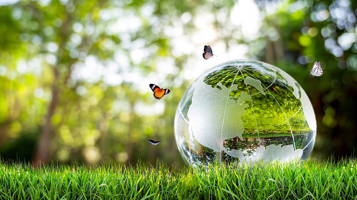 World Environment Day
