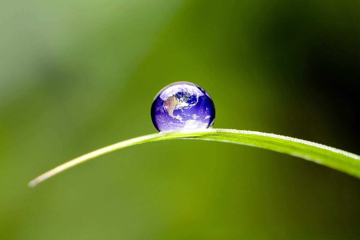 World Environment Day