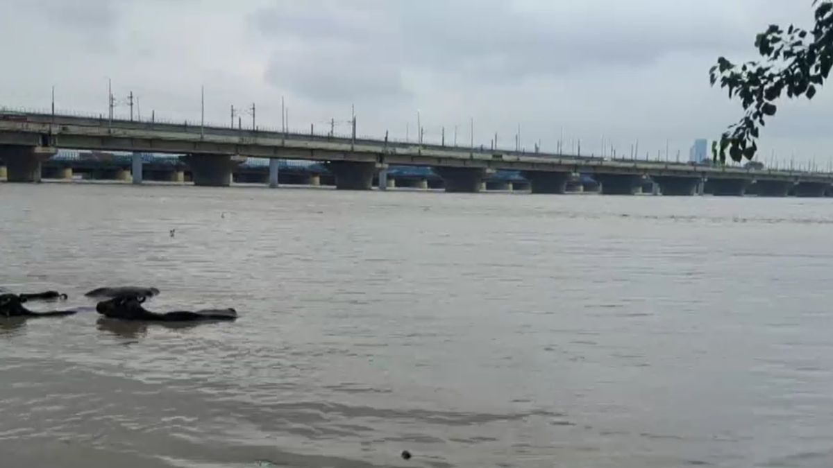 yamuna flood delhi secretariat relief camps submerged flyover collapse yamuna flood delhi secretariat relief camps submerged flyover collapse