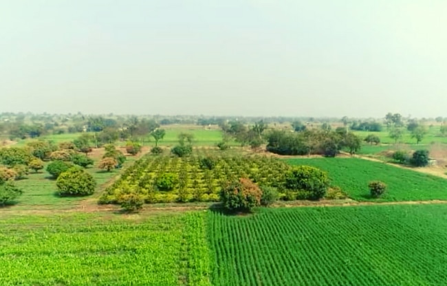 आज इस गांव में चारों तरफ हरियाली है