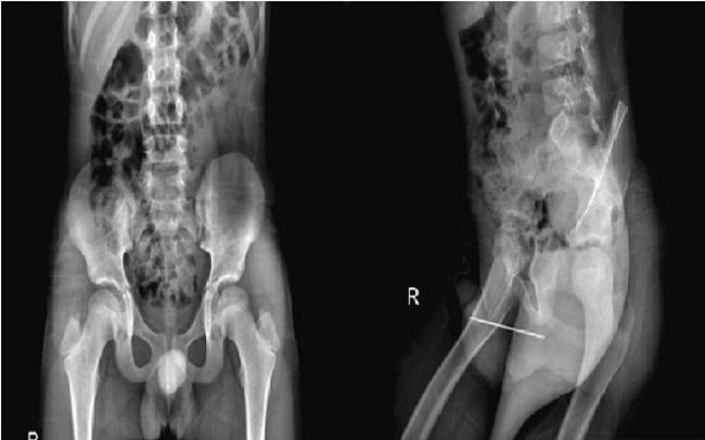 Photo credit: vahidi_karami_gholizadeh