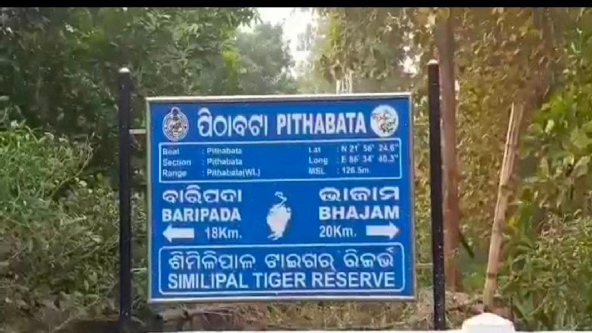 Mayurbhanj