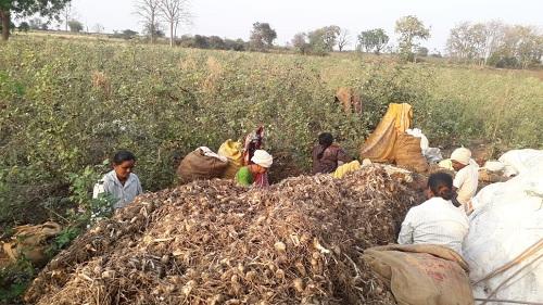 विदर्भ के युवा ने की पहल